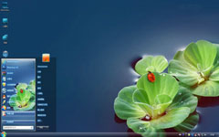 出水莲win7桌面主题