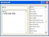 梅花英汉双语词典 V1.0.0.4