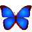 bkViewer(照片浏览器)V4.9a绿色版