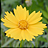 Neat Image Pro(neat image滤镜下载)专业图片降噪软件 V7.5.0.0 官方版