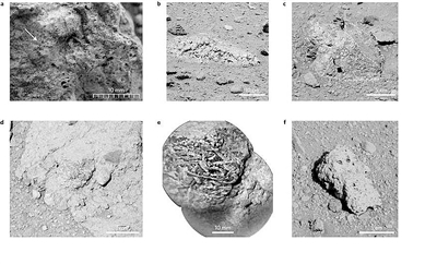 好奇号：火星曾有与地球类似的大陆地壳 