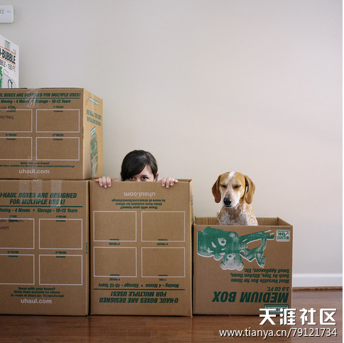 苦逼的七夕情人节单身狗该如何度过 