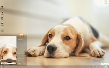 可爱狗狗萌宠win7主题