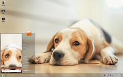 慵懒狗狗趴地板Win7主题