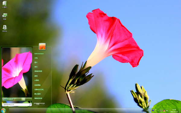 清新的牵牛花一枝独秀Win7主题